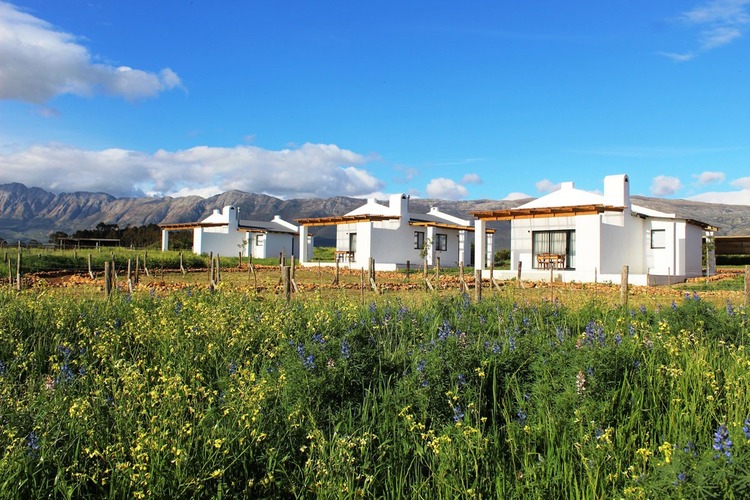 Duikersdrift Winelands Country Escape Cape Winelands