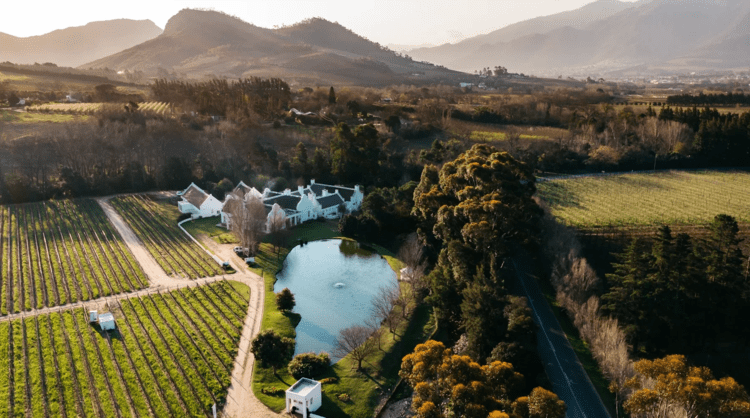 Franschhoek Cape Winelands