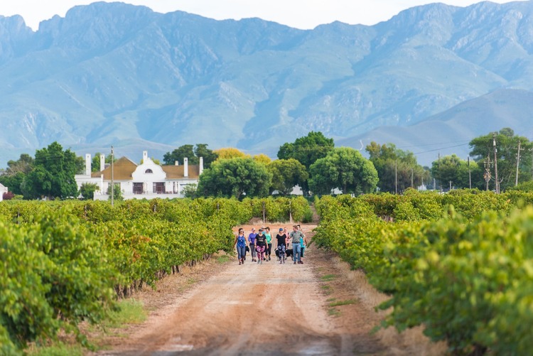 Robertson Cape Winelands