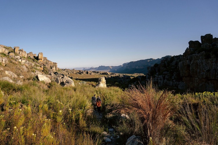 The Cederberg Activities