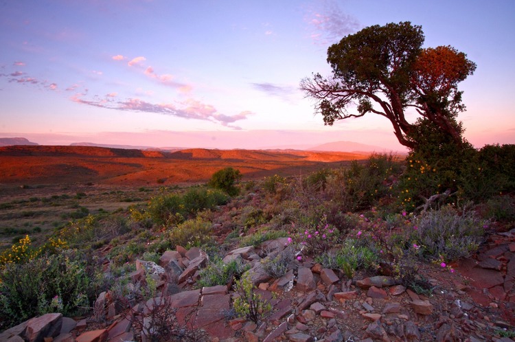 The Klein Karoo