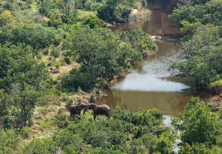 The Waterberg Wildlife