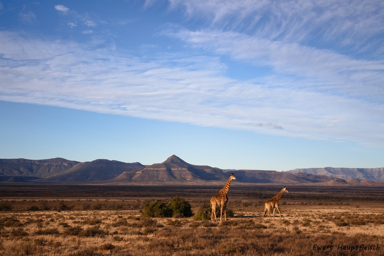 Travel The Karoo