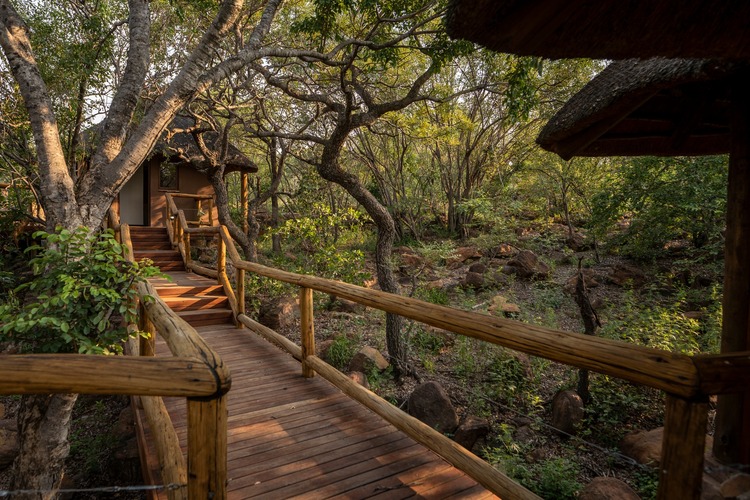 Tshwene Lodge The Waterberg