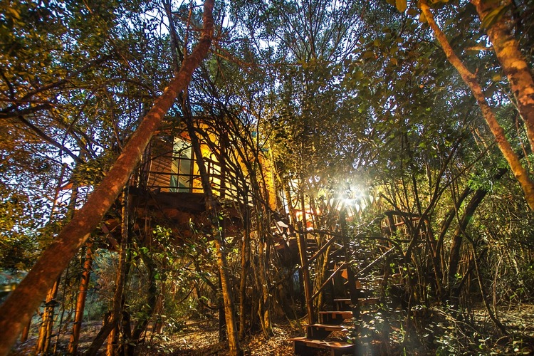 Teniqua Treetops Garden Route