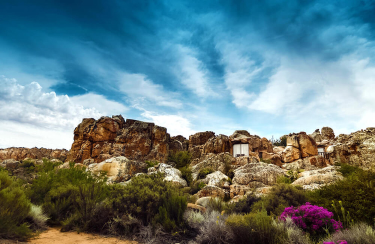 Immersive Nature Reserve Getaways In South Africa